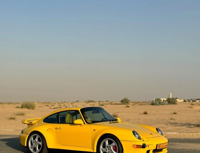 Alex Renner Motors® and Justin Placek Create 993 Masterpiece.