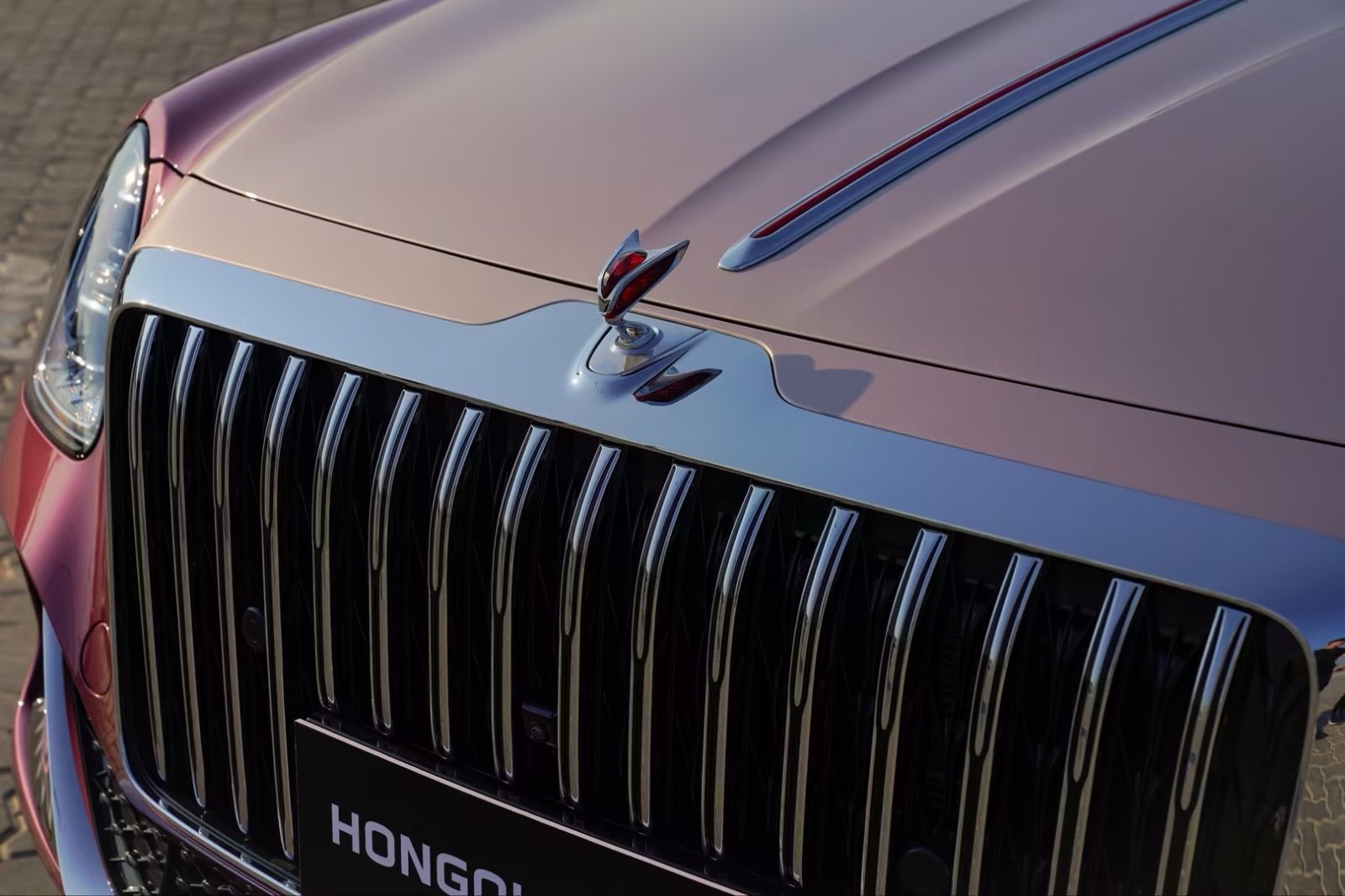Hongqi GUOYA